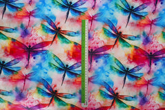 DRAGONFLIES #1