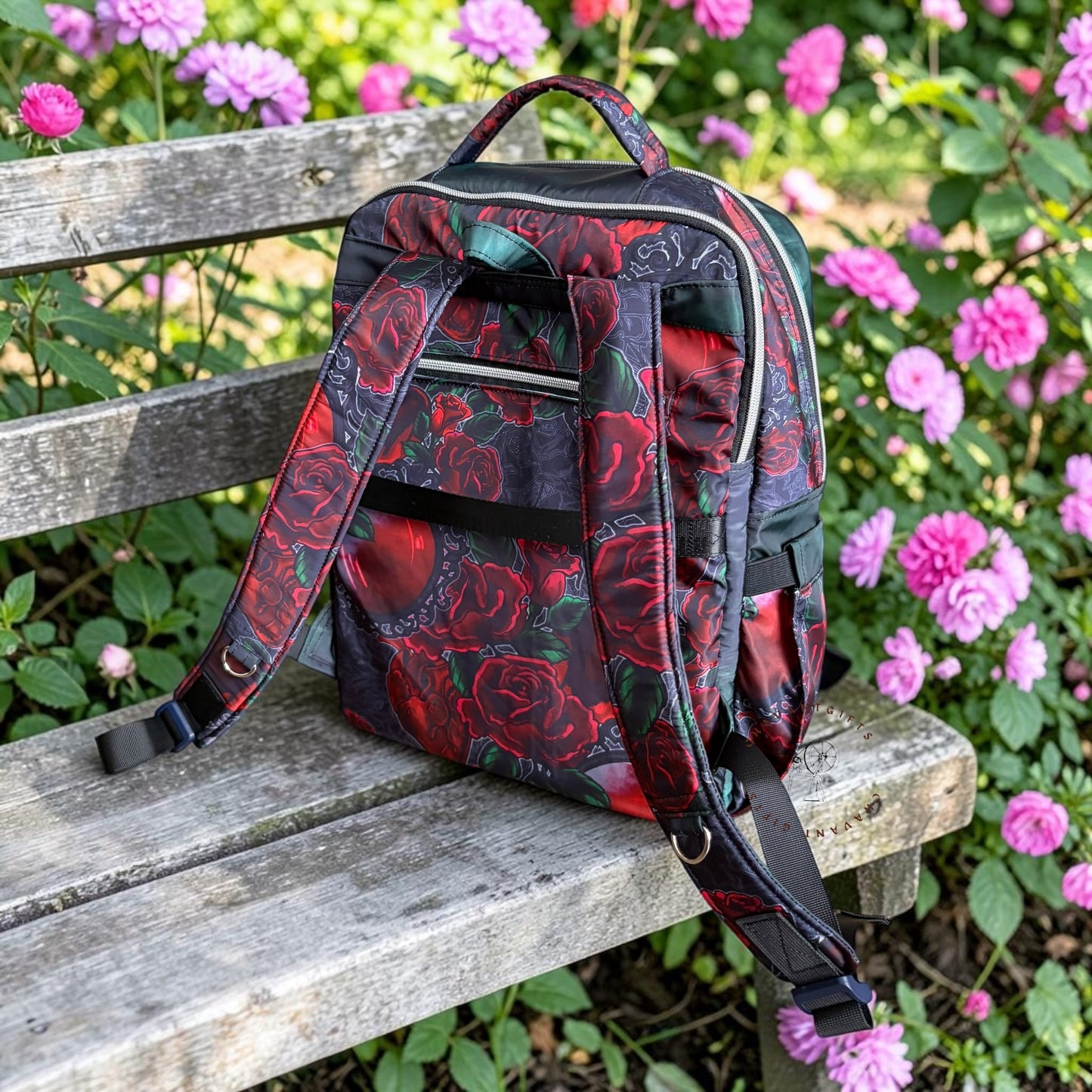 SCHOLAR'S PACK - EVIL QUEEN ROSE